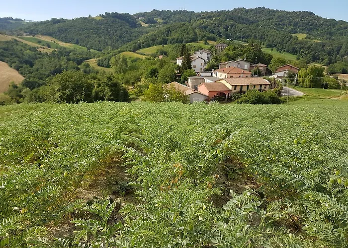 Di Sordiglio ファームステイ