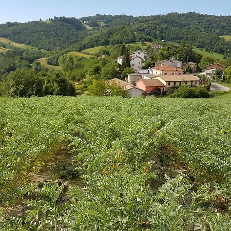 Di Sordiglio Farma